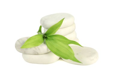 Spa taşı ve yeşil yaprakların üzerinde beyaz izole