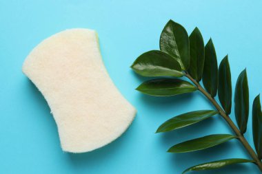 Açık mavi arkaplanda yaprakları olan bir sünger ve dal, üst görünüm