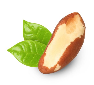 Brezilya cevizi ve yeşil yapraklar beyaz üzerine izole