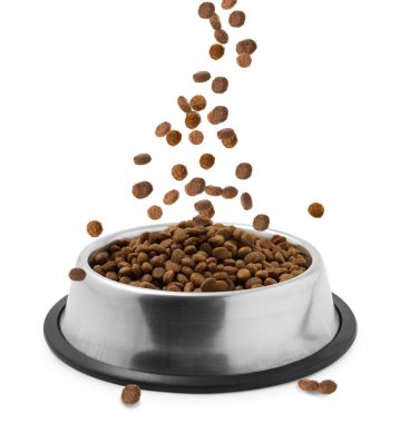 Kuru hayvan mamaları beyaz arka planda kaseye düşüyor.