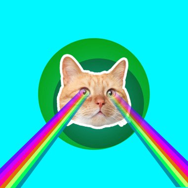 Cat shooting with rainbow lasers from eyes on turquoise background, creative collage. Stylish poster clipart