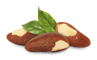 Brezilya fındıkları ve yeşil yaprakları beyaz üzerine izole