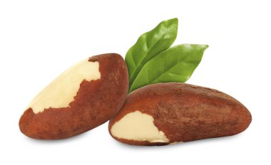 Brezilya fındıkları ve yeşil yaprakları beyaz üzerine izole