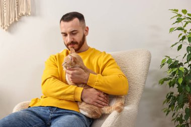 Evdeki koltukta sevimli kızıl kediyi okşayan adam.