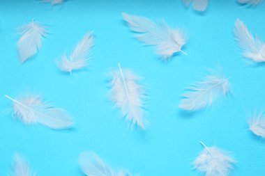 Açık mavi arka planda güzel tüyler, düz uzanmış