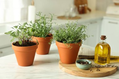 Kapalı alandaki beyaz mermer masada farklı aromatik otlar, yağ ve biber.