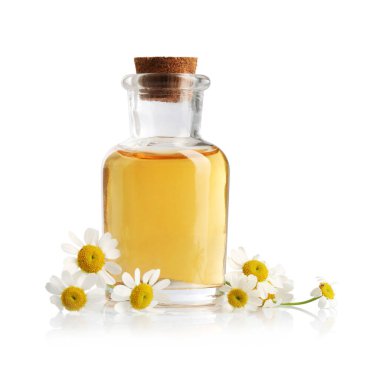 Bir şişe gerekli yağ ve papatya çiçekleri beyaza izole edilmiş.