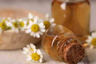 Masada gerekli yağ ve papatya çiçekleri var. Yakın plan.