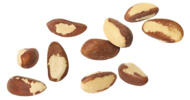 Many Brazil nuts in air on white background clipart