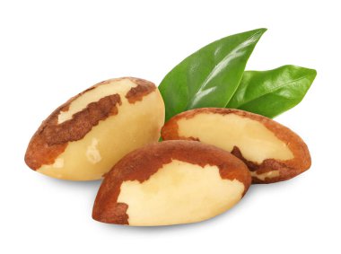 Brezilya fındıkları ve yeşil yaprakları beyaz üzerine izole