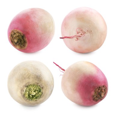 Taze çiğ şalgam, beyaz sette izole edilmiş.