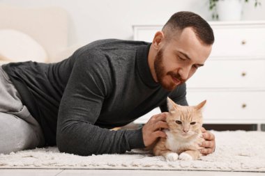 Evdeki sevimli kızıl kediyi okşayan adam.