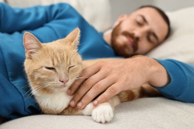 Adam evdeki kanepede sevimli kızıl kediyi okşuyor, seçici bir odak noktası.