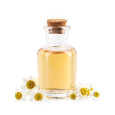 Bir şişe gerekli yağ ve papatya çiçekleri beyaza izole edilmiş.