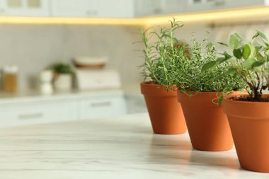 Mutfaktaki beyaz mermer masada saksıda farklı aromatik otlar, yakın plan. Metin için boşluk