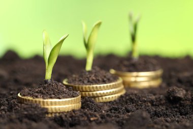 Toprakta yeşil bitkilerin bulunduğu bozuk para yığınları bulanık arka plana karşı, yakın plan. Para büyüme kavramı
