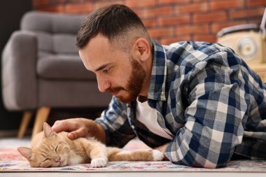 Evdeki sevimli kızıl kediyi okşayan adam.