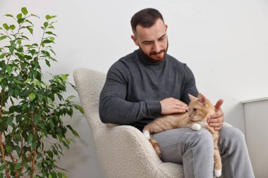 Evdeki koltukta sevimli kızıl kediyi okşayan adam.