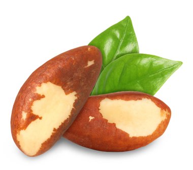 Brezilya fındıkları ve yeşil yaprakları beyaz üzerine izole