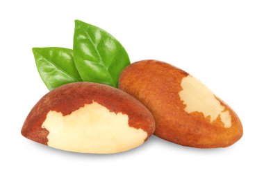 Brezilya fındıkları ve yeşil yaprakları beyaz üzerine izole