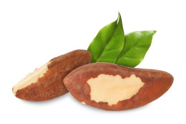 Brezilya fındıkları ve yeşil yaprakları beyaz üzerine izole