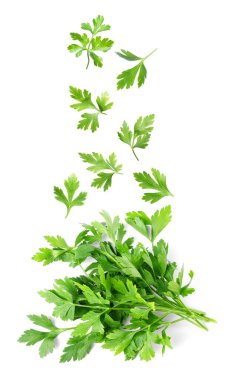 Green parsley leaves falling onto heap on white background clipart