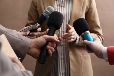Bir grup gazeteci bej arka planda iş kadınıyla röportaj yapıyor, yakın plan
