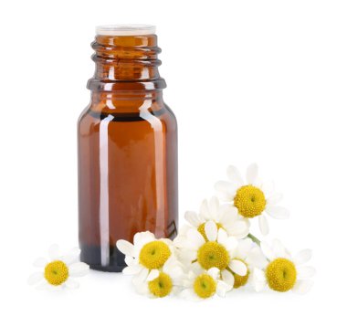 Bir şişe gerekli yağ ve papatya çiçekleri beyaza izole edilmiş.