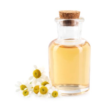 Bir şişe gerekli yağ ve papatya çiçekleri beyaza izole edilmiş.