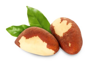 Brezilya fındıkları ve yeşil yaprakları beyaz üzerine izole