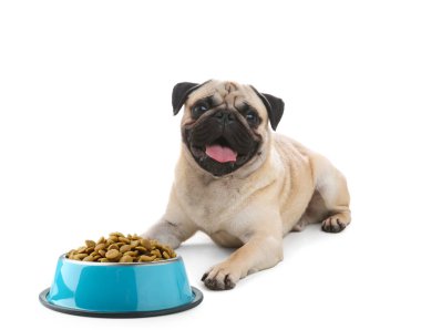 Yanında tatlı bir köpek yatıyor ve beyaz arka planda bir kase kuru hayvan maması var.