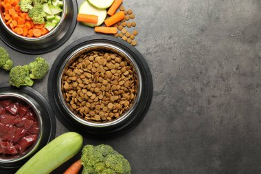 Gri masada kuru hayvan maması ve doğal ürünler, üst manzara. Metin için boşluk