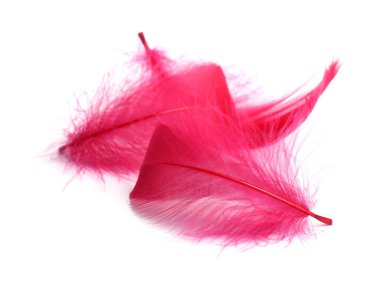 Beyaz üzerine izole edilmiş üç tüylü tüy.