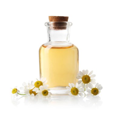 Bir şişe gerekli yağ ve papatya çiçekleri beyaza izole edilmiş.
