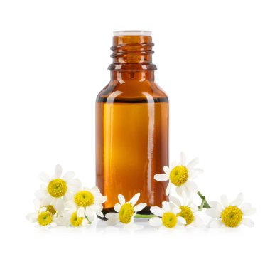 Bir şişe gerekli yağ ve papatya çiçekleri beyaza izole edilmiş.