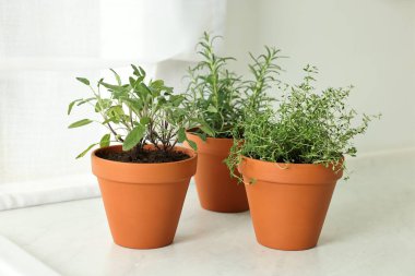 Beyaz mermer tezgahtaki tencerelerde farklı aromatik otlar.