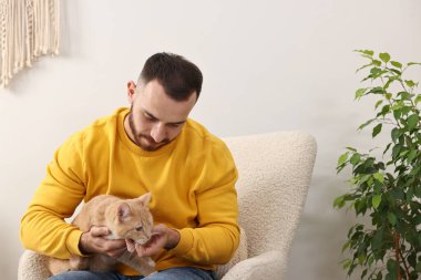 Evdeki koltukta sevimli kızıl kediyi okşayan adam.