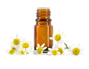 Bir şişe gerekli yağ ve papatya çiçekleri beyaza izole edilmiş.