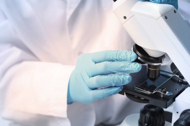 Bilim adamı mikroskop altında numuneyi inceliyor.