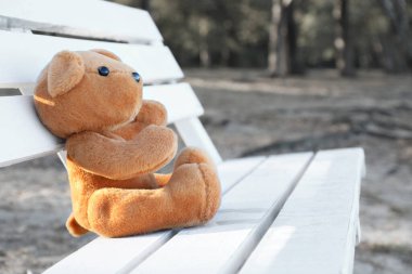Parktaki bankta yalnız oyuncak ayı