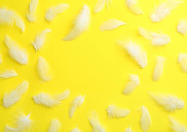 Sarı arka planda tüylü, düz, güzel bir çerçeve. Metin için boşluk