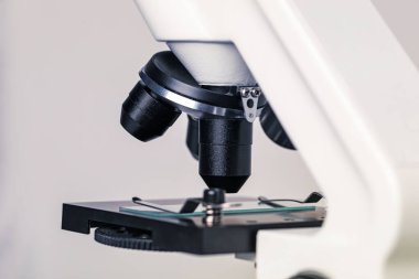 - Bilim. Açık gri arkaplanda cam kaydıraklı mikroskop, yakın plan