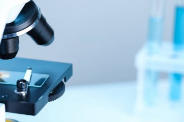 - Bilim. Bulanık arka planda cam kaydıraklı mikroskop, yakın plan. Metin için boşluk