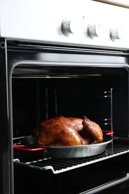 Fırında fırında pişmiş hindi.