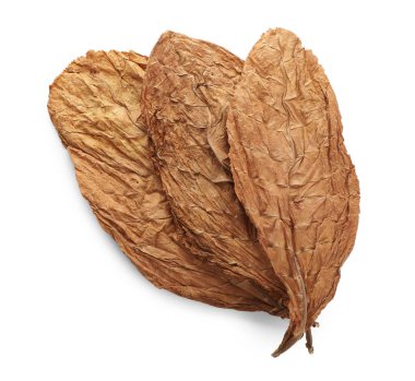 Kurumuş tütün yaprakları beyaz, üst manzara