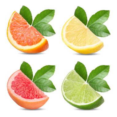 Citrus meyveleri ve bitki dalları beyaza izole edilmiş, sabitlenmiş