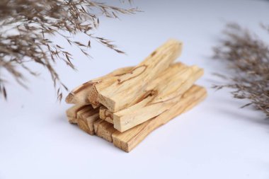 Palo santo sticks and dried reed on white background, closeup clipart