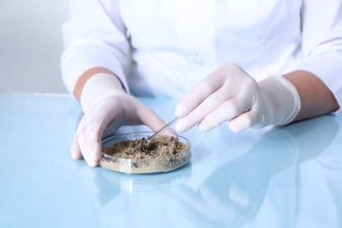 Laboratuvar testi. Bilim adamı kapalı bir masada kum örneğiyle çalışıyor.