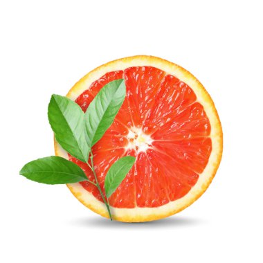 Sulu kırmızı portakal ve narenciye dalları beyaza izole edilmiş.