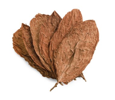 Kurumuş tütün yaprakları beyaz, üst manzara